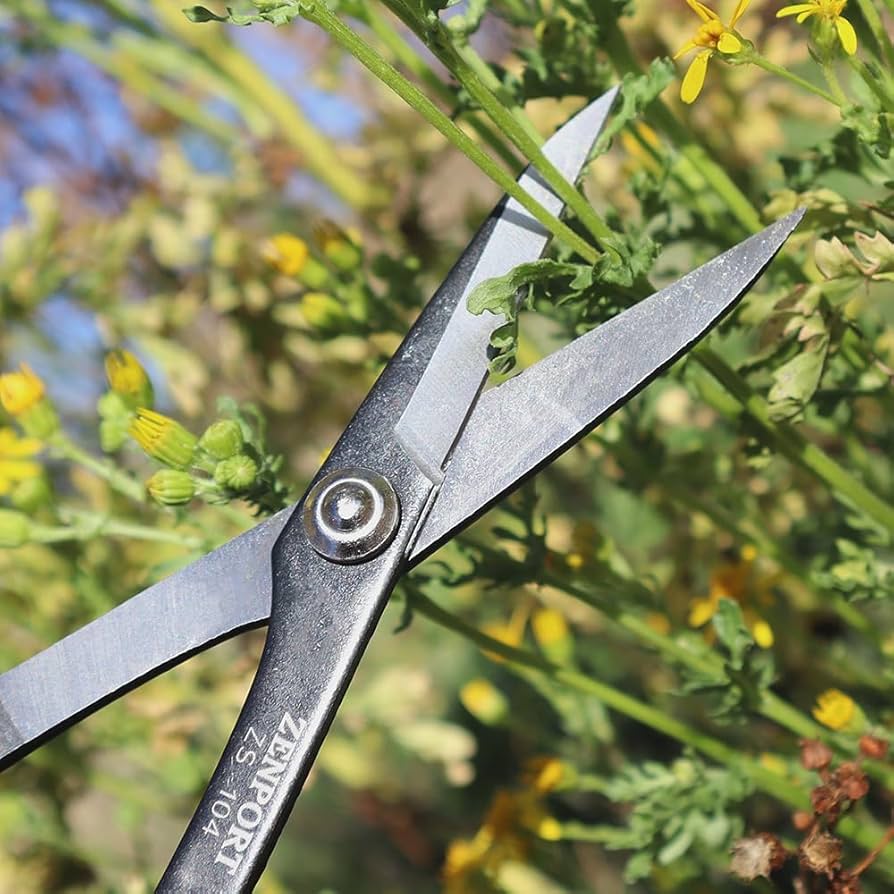 Amazon.com : Zenport ZS104 Deluxe Scissors, Garden/Craft